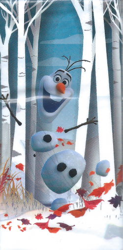 Kartica Frozen II