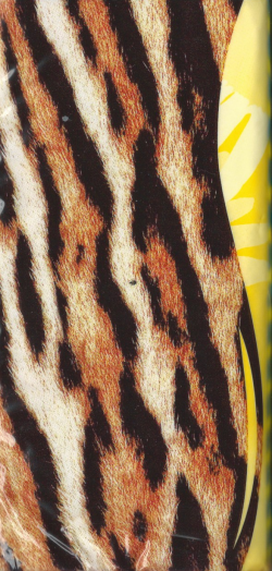 Tempo
