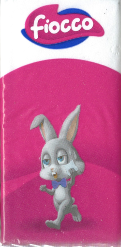 Fiocco